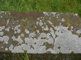 image of grave number 152535